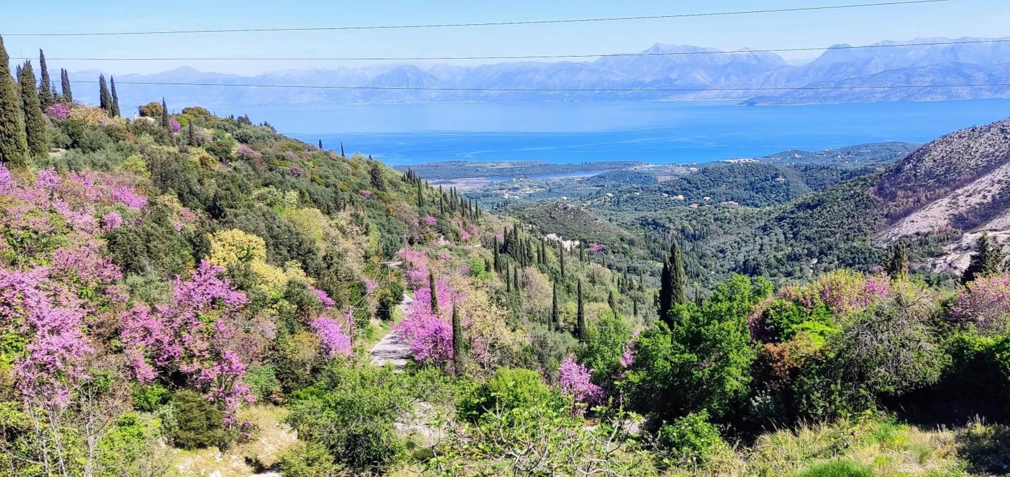 Castello Di Lafki Corfu (city) Exterior foto