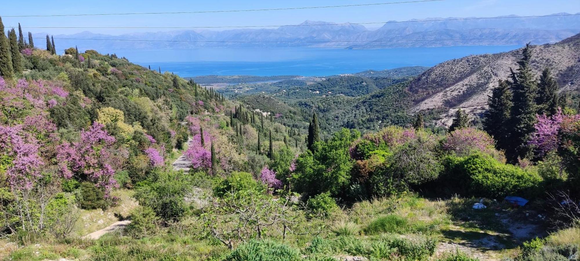 Castello Di Lafki Corfu (city) Exterior foto